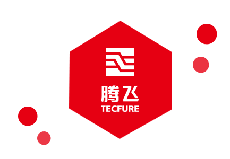 <strong>“喜迎二十大 永遠跟黨走”主題黨日活動(圖文)</strong>